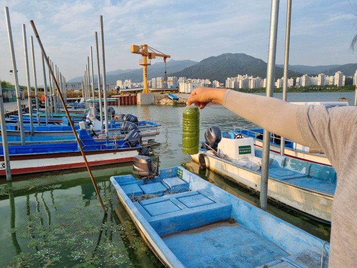 6월 22일 대동선착장.(제공=부산환경운동연합)