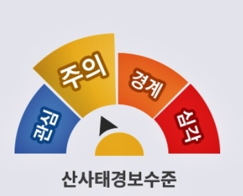 (제공=산림청)