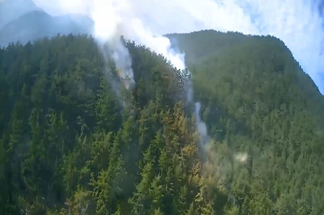 (사진제공=산림청)