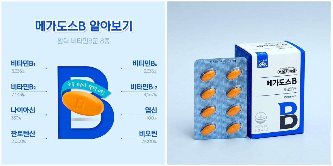 고려은단 메가도스 B 이미지. (사진=고려은단)