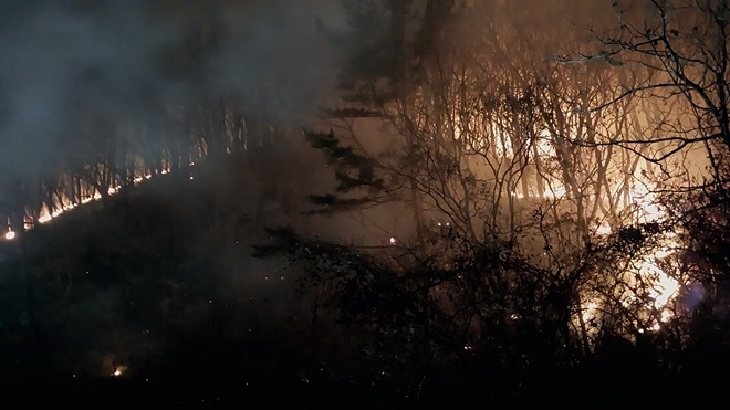 (사진제공=산림청)
