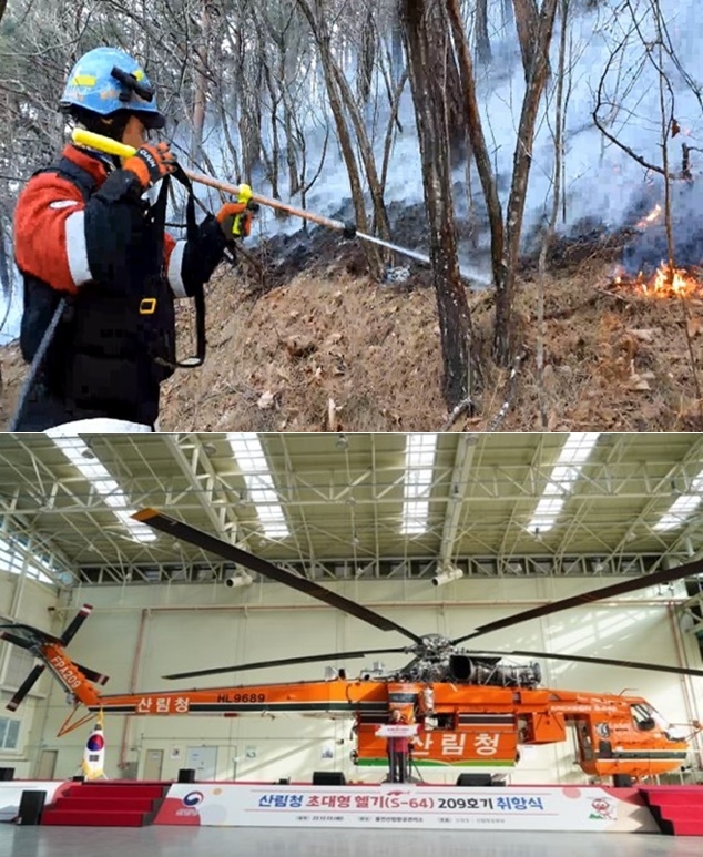 (사진제공=산림청)