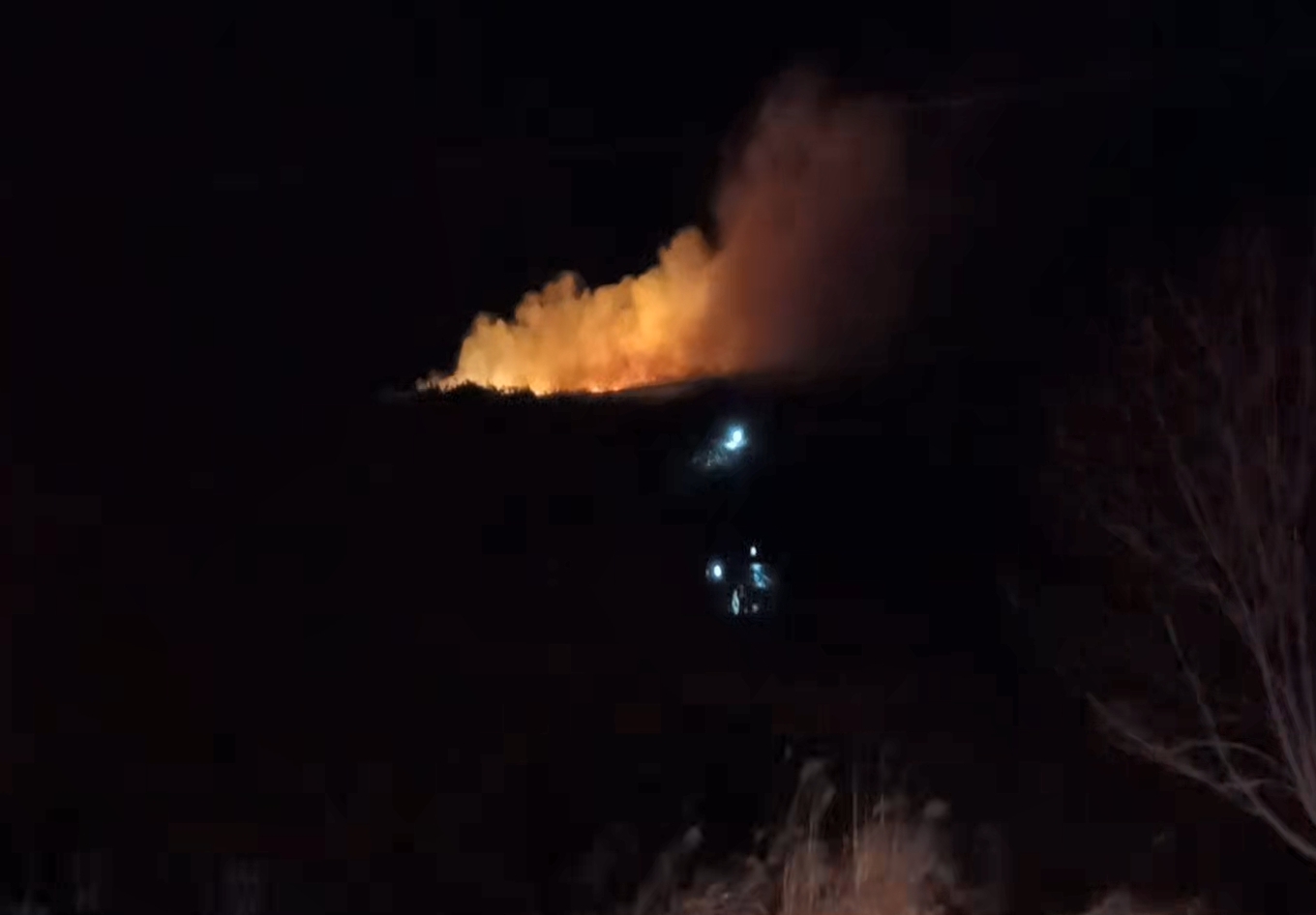 (사진제공=산림청)