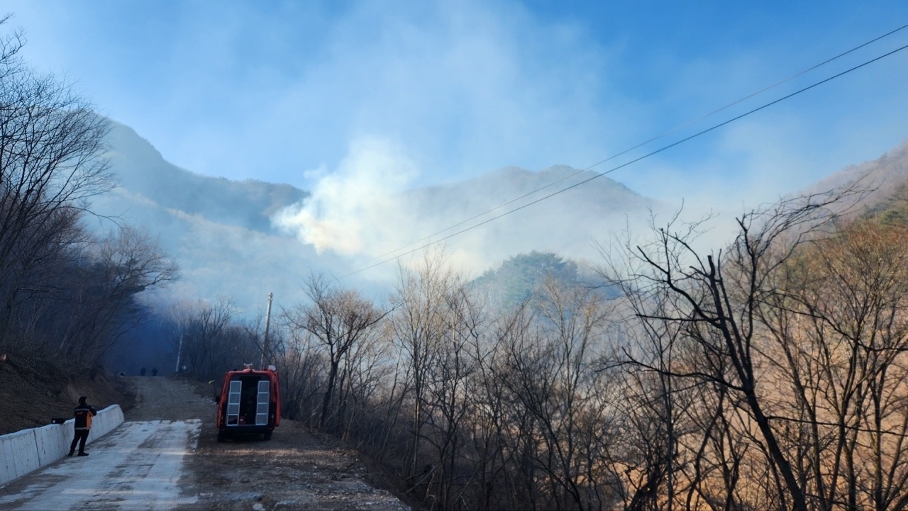 (사진제공=산림청)