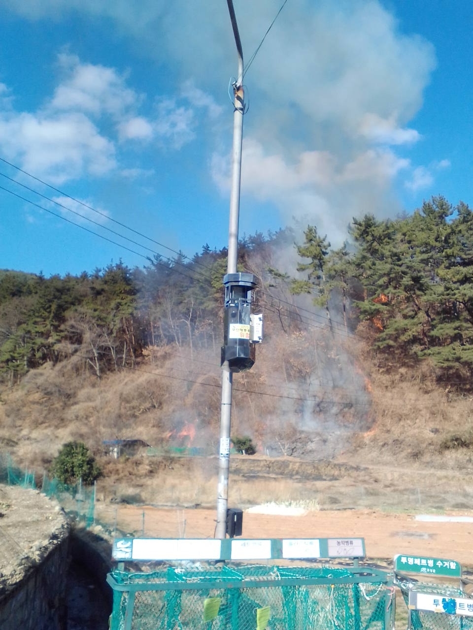 (사진제공=산림청)