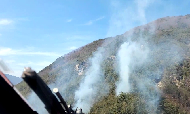 (사진제공=산림청)