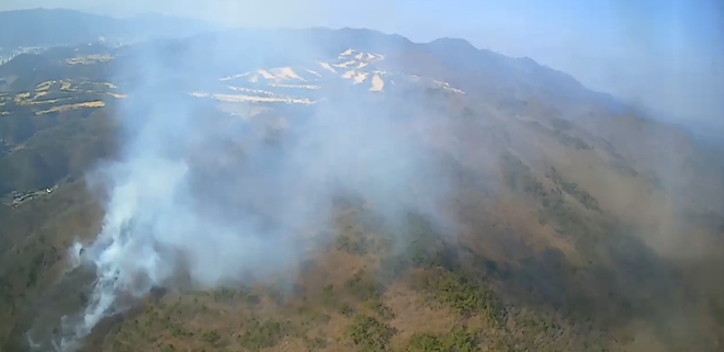 (사진제공=산림청)