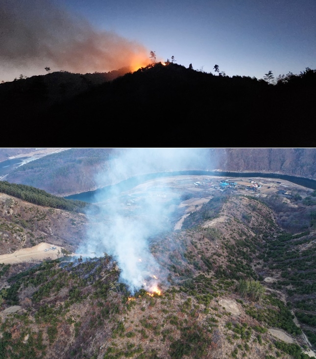 (사진제공=산림청)