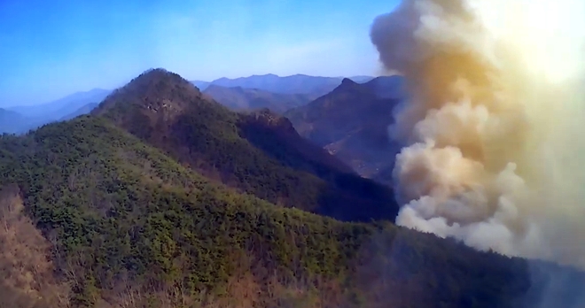 (사진제공=산림청)