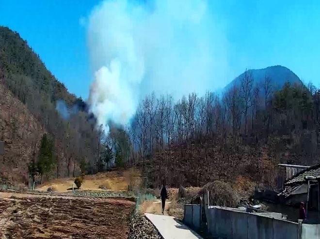 (사진제공=산림청)