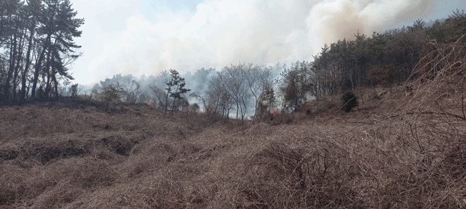 (사진제공=산림청)