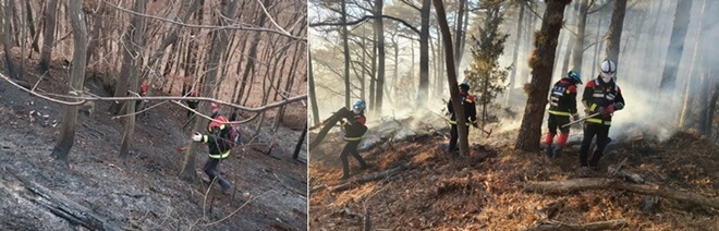 (사진제공=산림청)