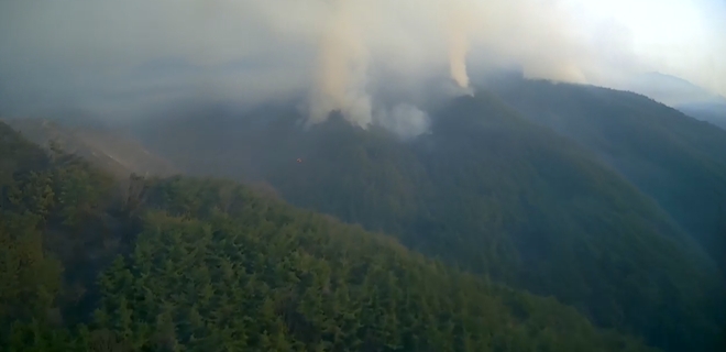 (사진제공=산림청)