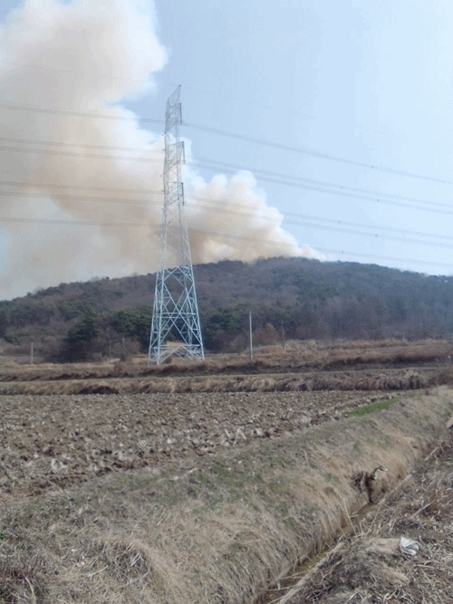 (사진제공=산림청)