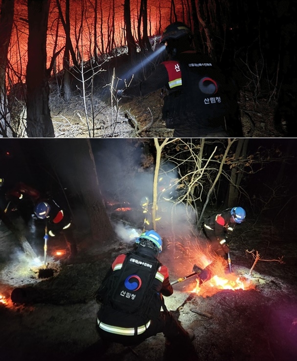 (사진제공=산림청)