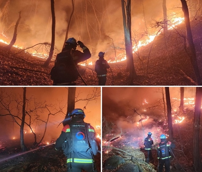 (사진제공=산림청)