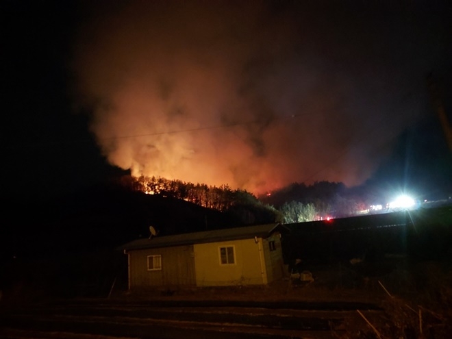 (사진제공=산림청)