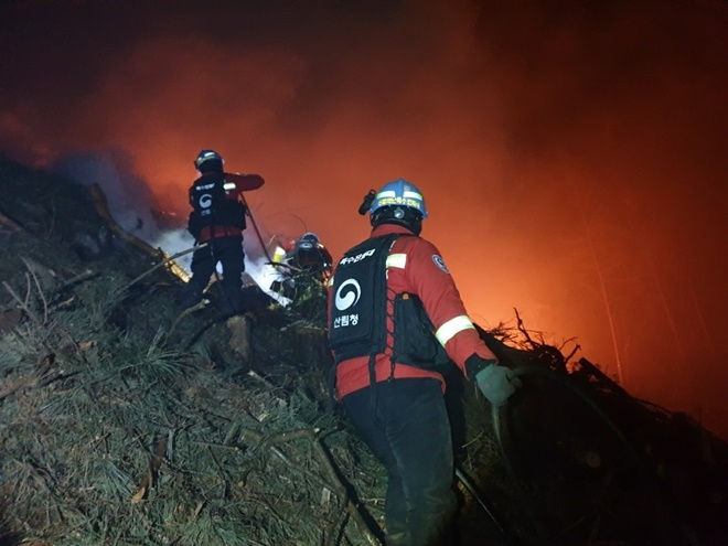 (사진제공=산림청)