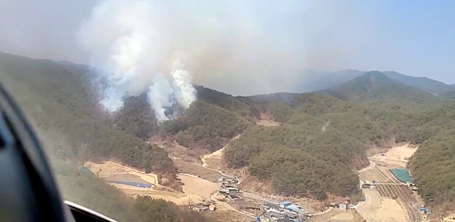 (사진제공=산림청)