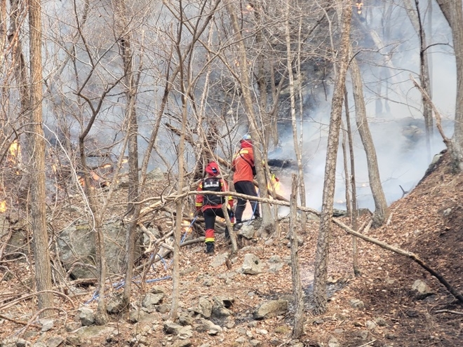 (사진제공=산림청)
