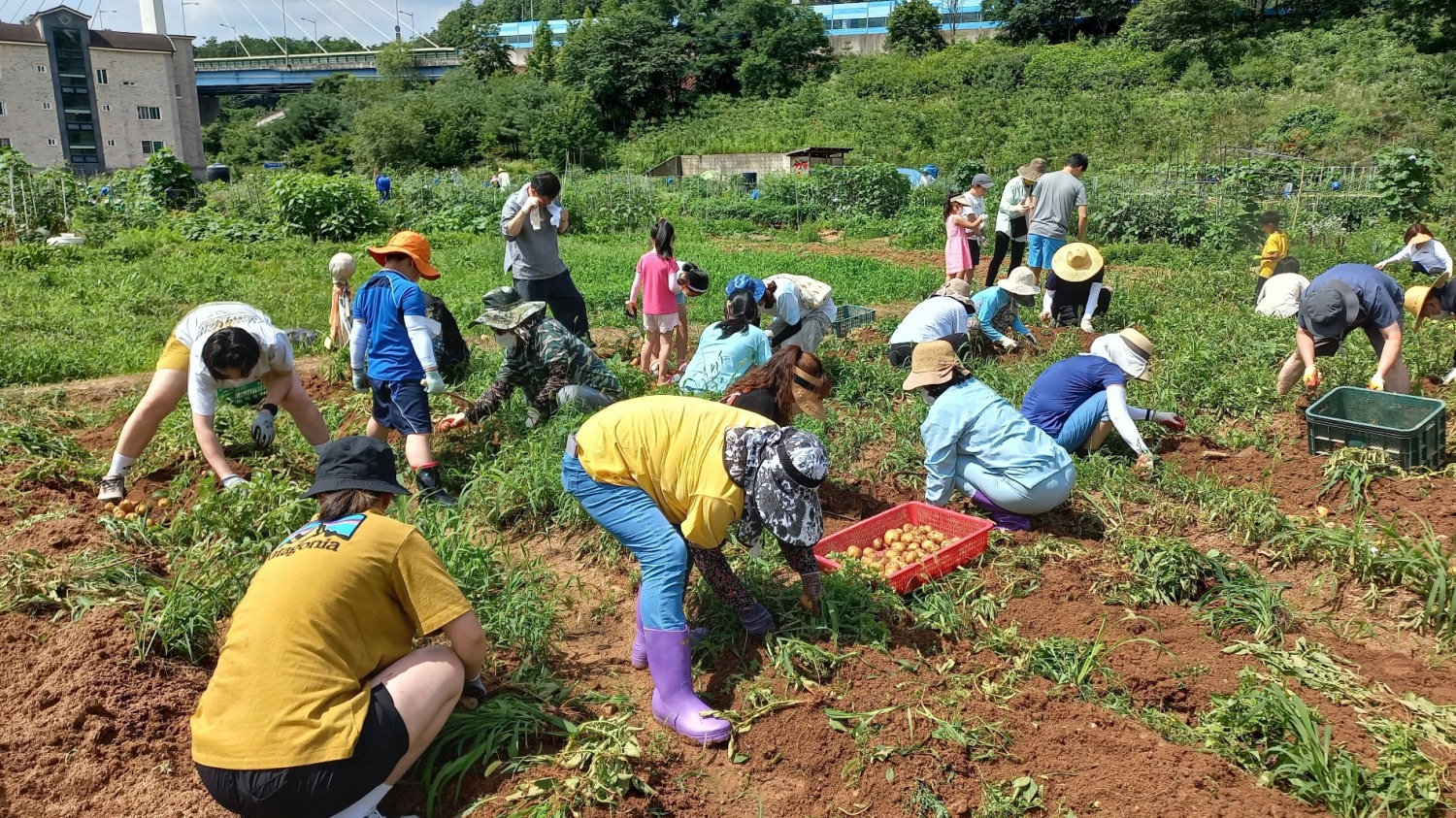 2022년도 텃밭 분양