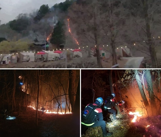 (사진제공=산림청)