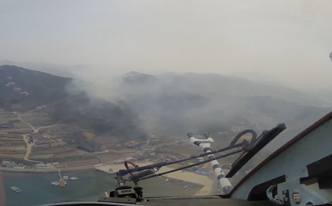 (사진제공=산림청)