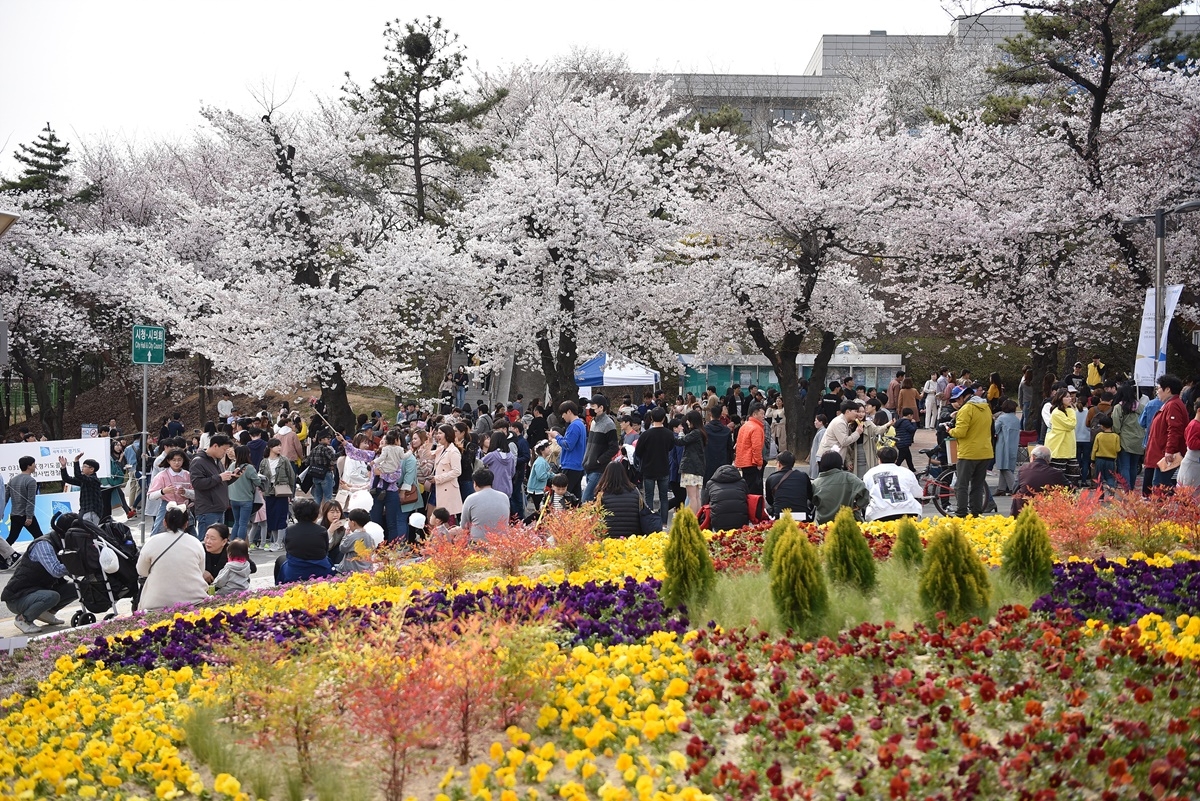 2019년 봄꽃축제