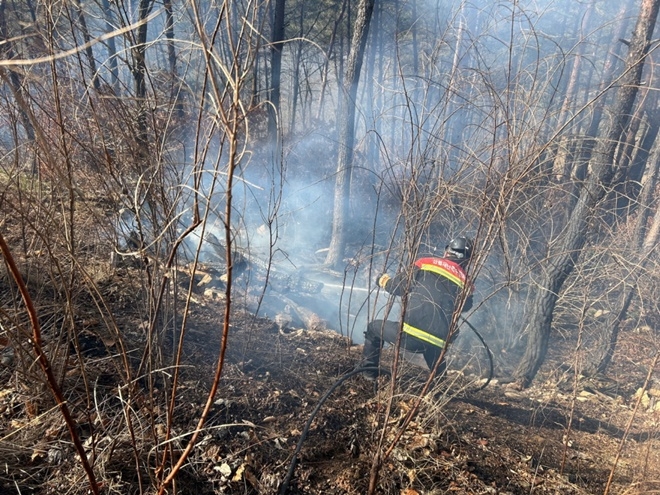 (사진제공=산림청)