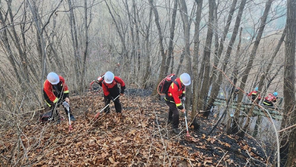 (사진제공=산림청)