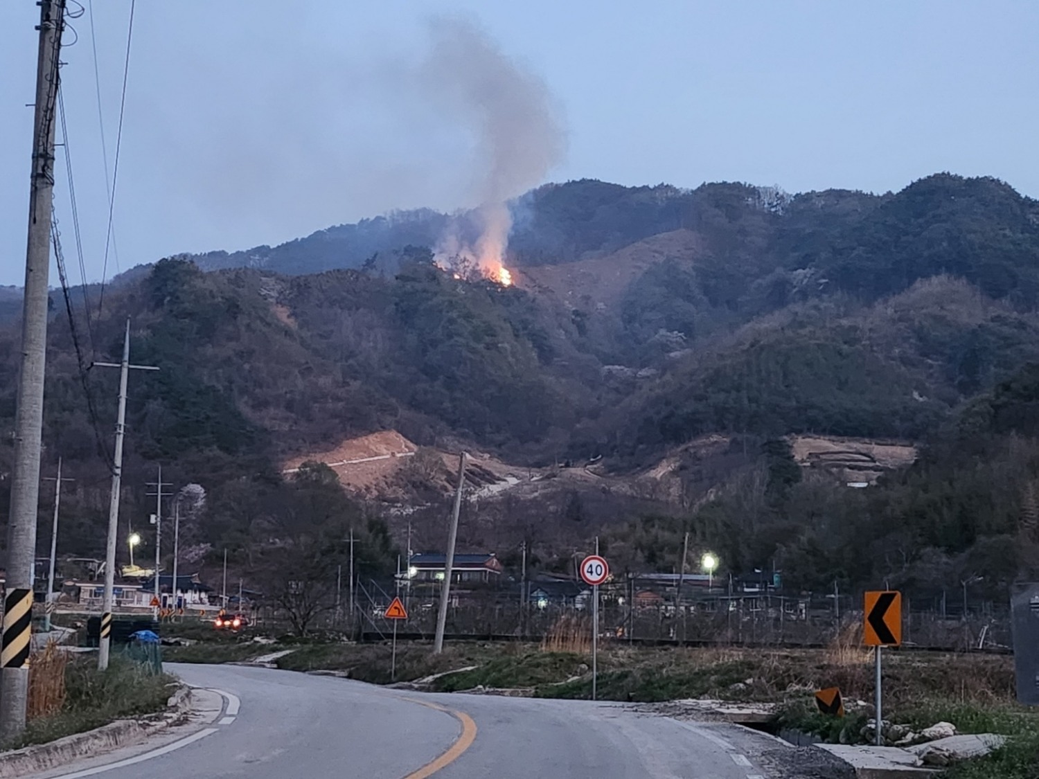 (사진제공=산림청)