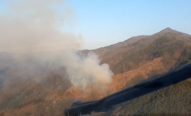 (사진제공=산림청)