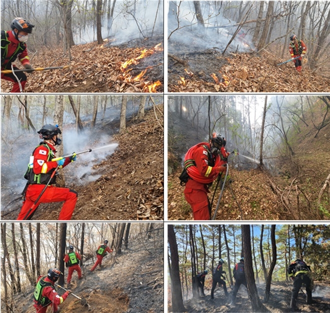 (사진제공=산림청)