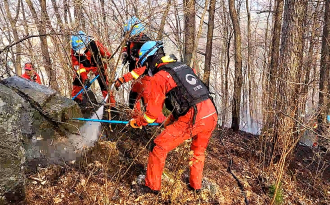 (사진제공=산림청)