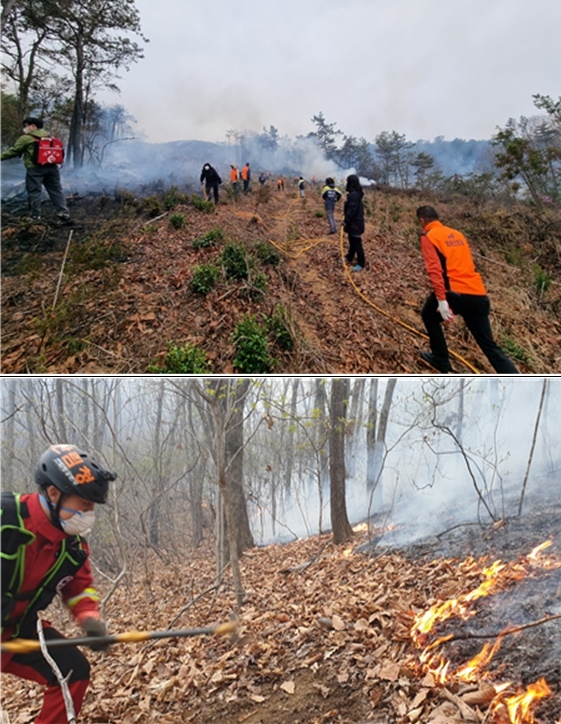 (사진제공=산림청)