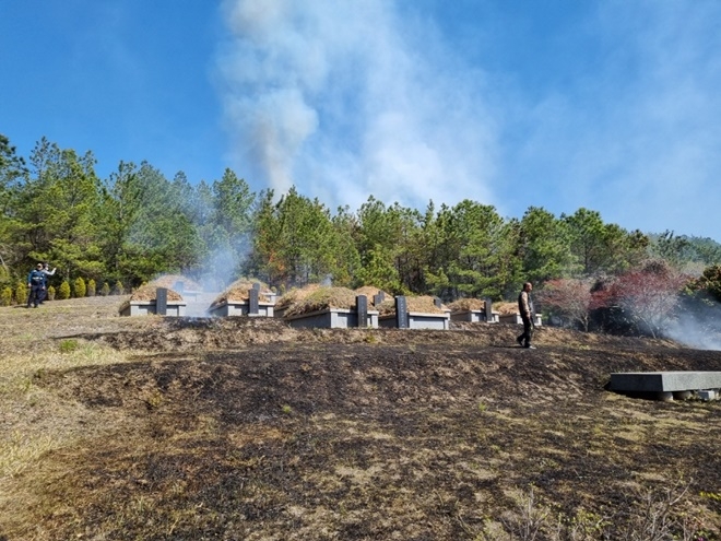 (사진제공=산림청)