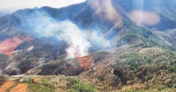 (사진제공=산림청)