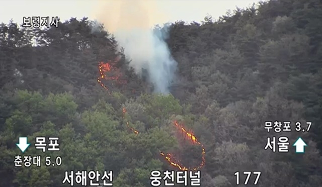 (사진제공=산림청)