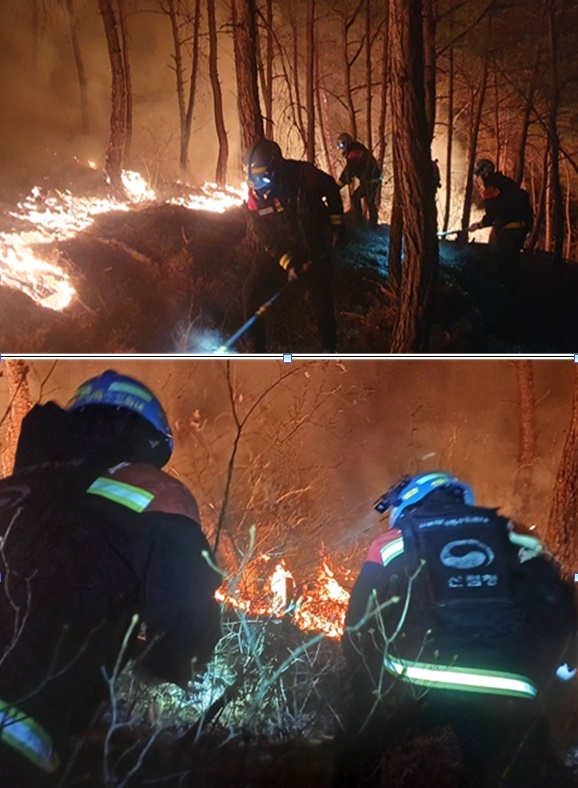 (사진제공=산림청)