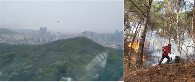 (사진제공=산림청)