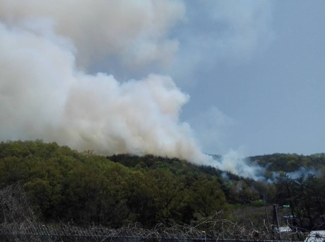 (사진제공=산림청)