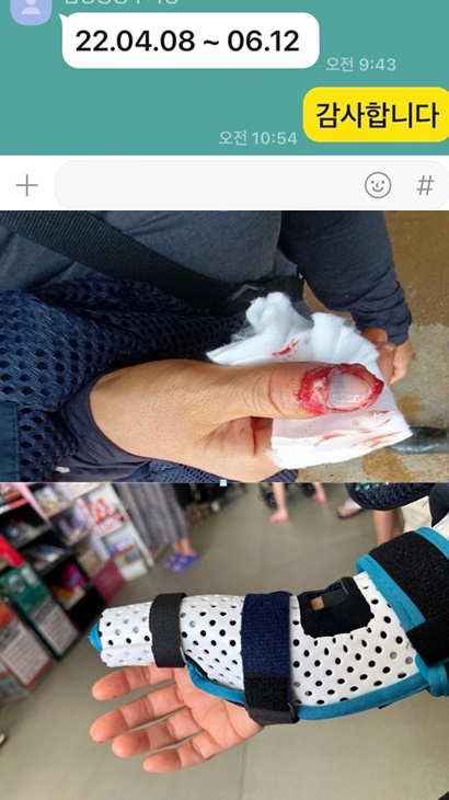 (제공=진보당)