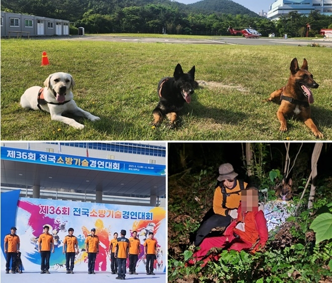 (사진위부터 시계방향) 사진왼쪽부터 나래, 영웅, 충성/충성이 발견한 70대 노인 구조모습.(제공=부산소방재난본부)