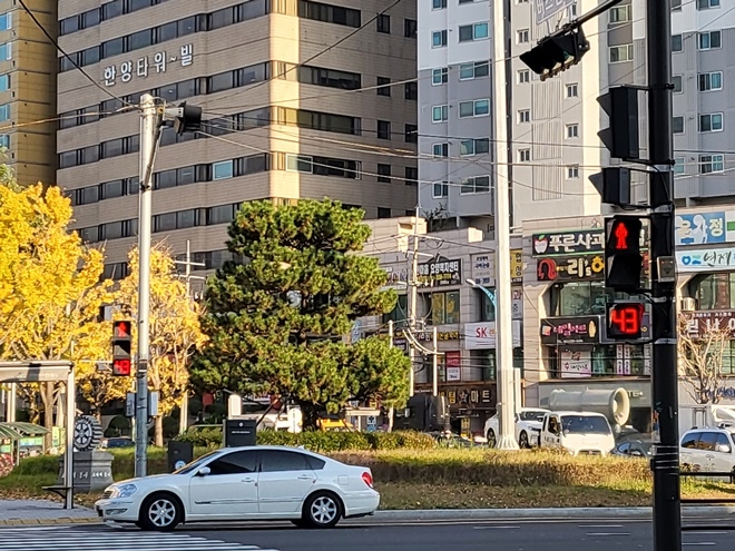 부산교대 앞 횡단보도에 설치.(사진제공=부산경찰청)