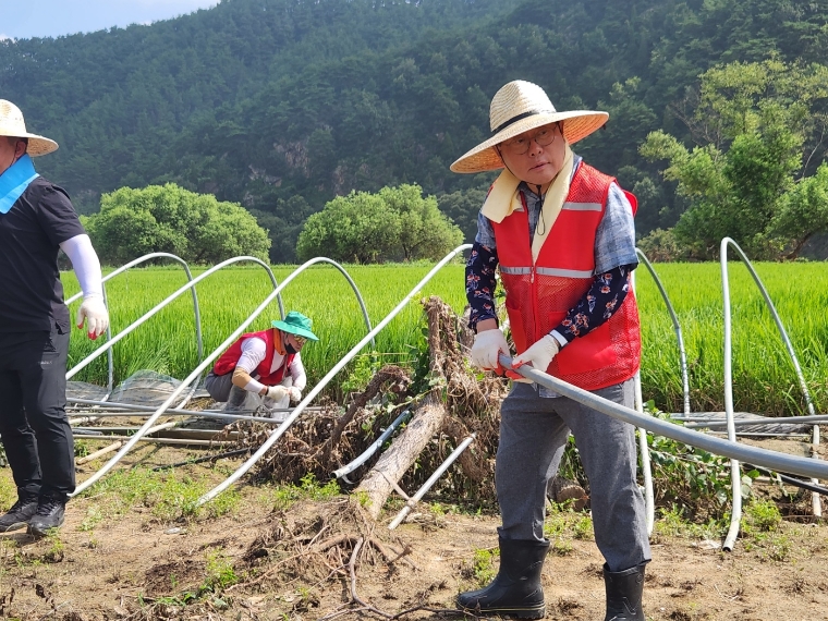 사진=임병헌 의원실 (국민의힘 임병헌 의원은 지난 28일 대구시 중구 남구 당원들과 함께 경북 예천군 회룡포마을 일대에서 수해복구 자원봉사 활동을 펼치고 있다. 202.7.28)