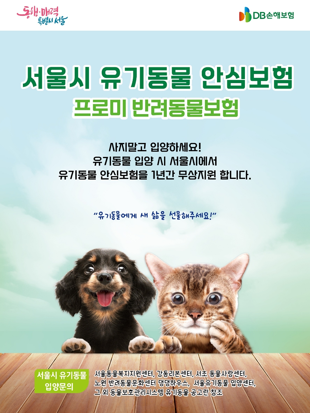 DB손보, 서울시와 유기동물입양 지원사업 이어가