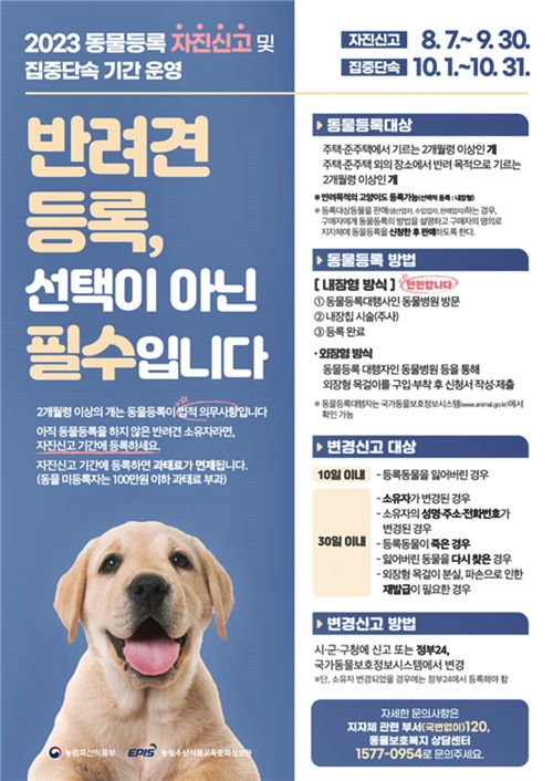 (제공=부산시)