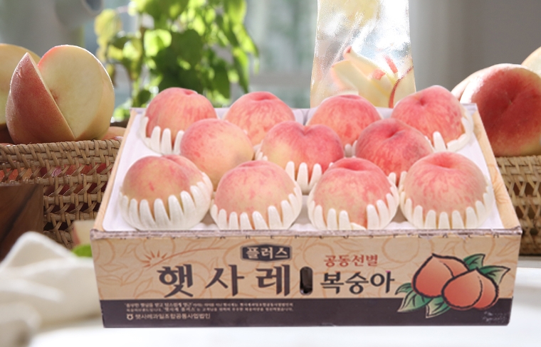 농협 햇사레 복숭아. 사진=공영홈쇼핑