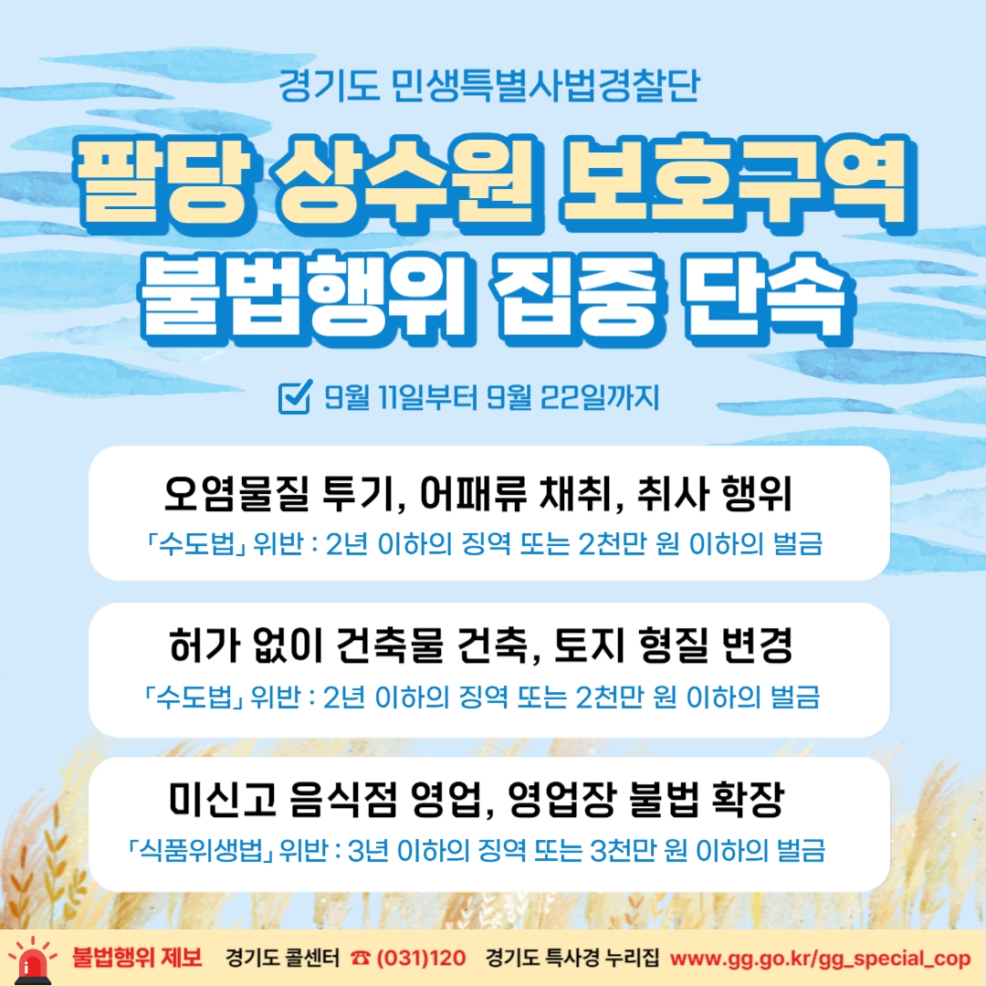 주요 단속 내용