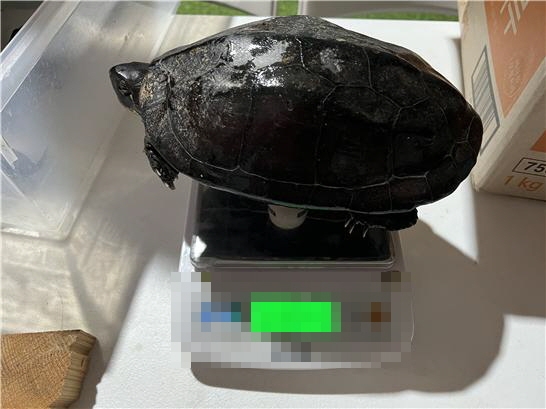 (사진제공=부산경찰청)